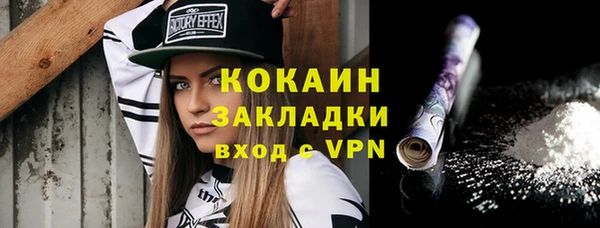 дживик Балахна