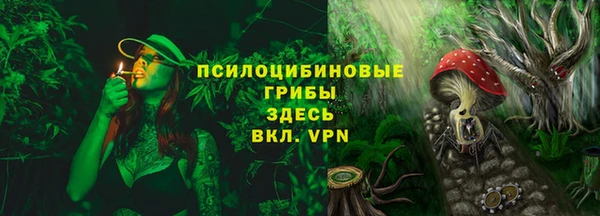 трава Аркадак
