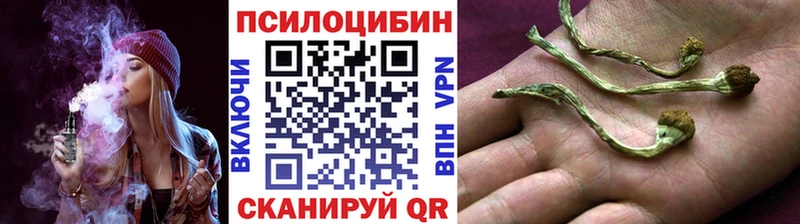 Псилоцибиновые грибы мицелий  Сибай 